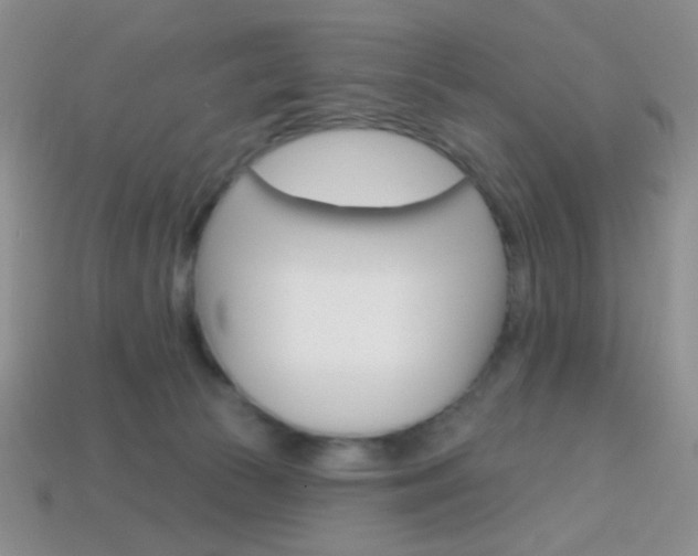 X0000114200177200910091056