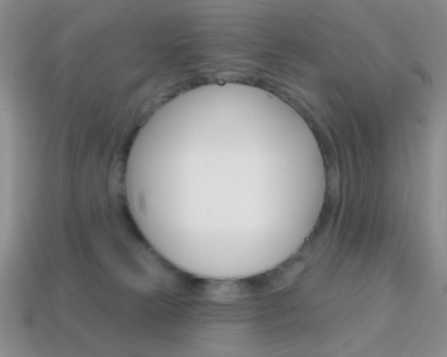 X0000114200181200910091056