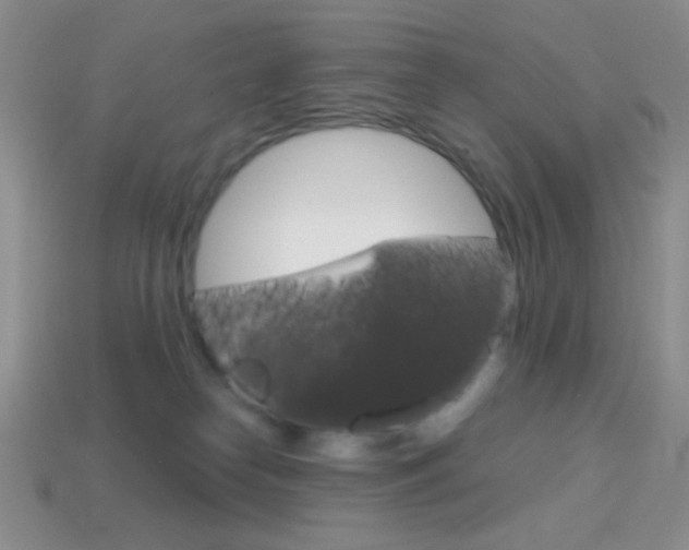 X0000114200182200910091056