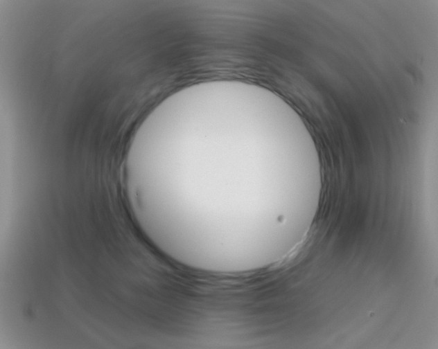 X0000114200184200910091056