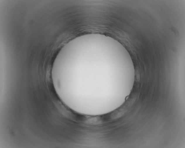 X0000114200185200910091056