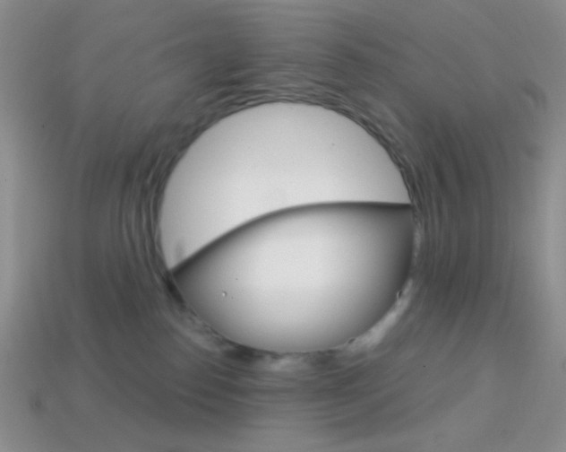 X0000114200186200910091056
