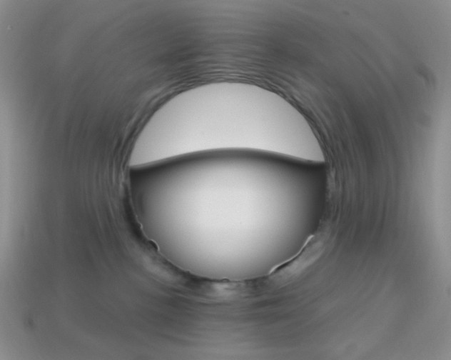 X0000114200188200910091056