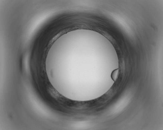 X0000114200189200910091056