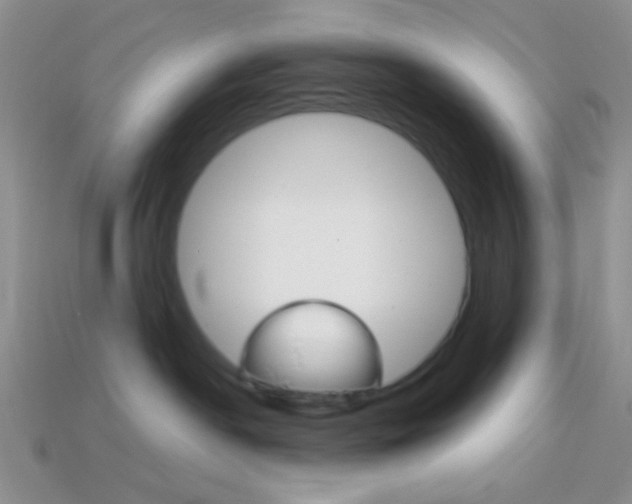 X0000114200190200910091056