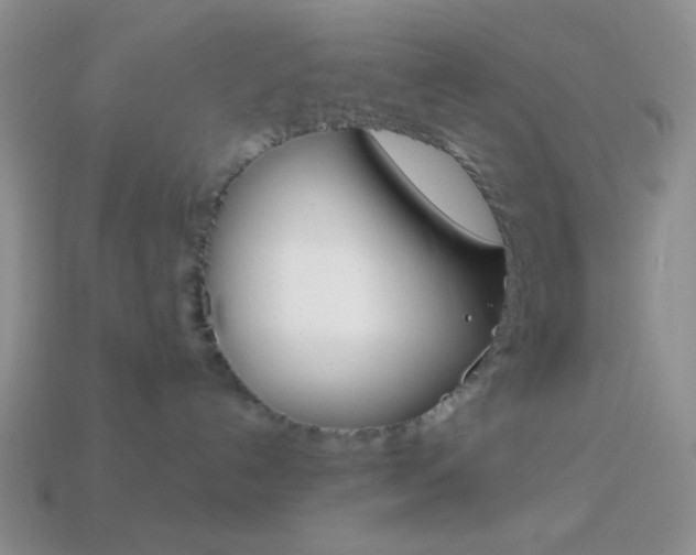 X0000114200192200910091056