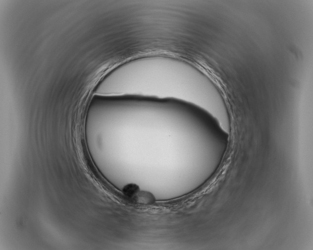 X0000114200193200910091055