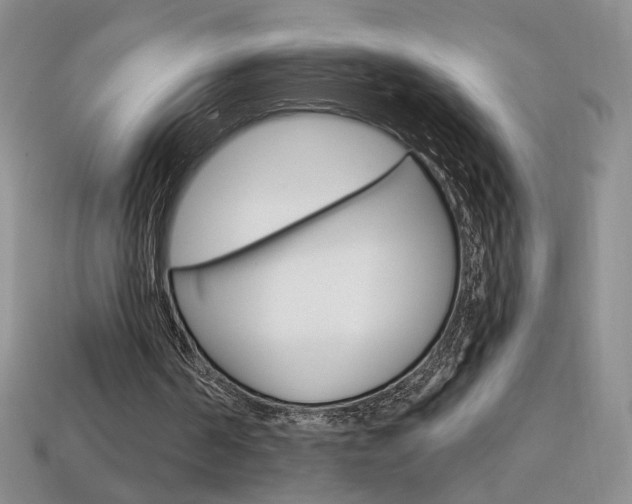 X0000114200194200910091055