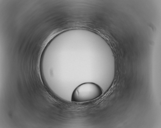 X0000114200195200910091055