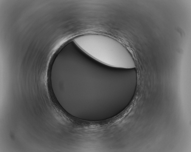 X0000114200196200910091055