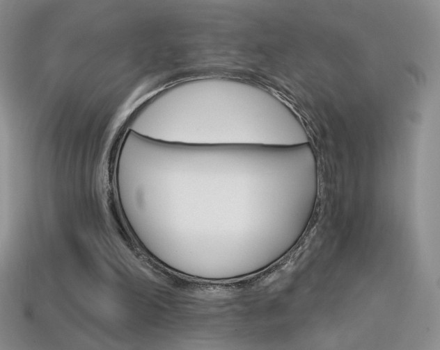 X0000114200198200910091055