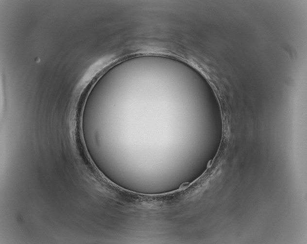 X0000114200199200910091055