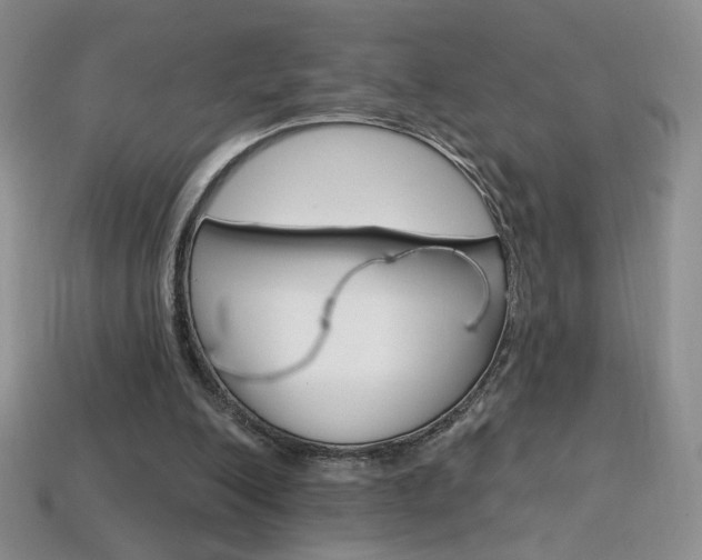 X0000114200200200910091055