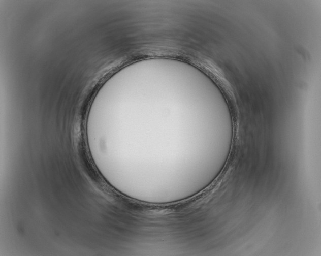 X0000114200202200910091055