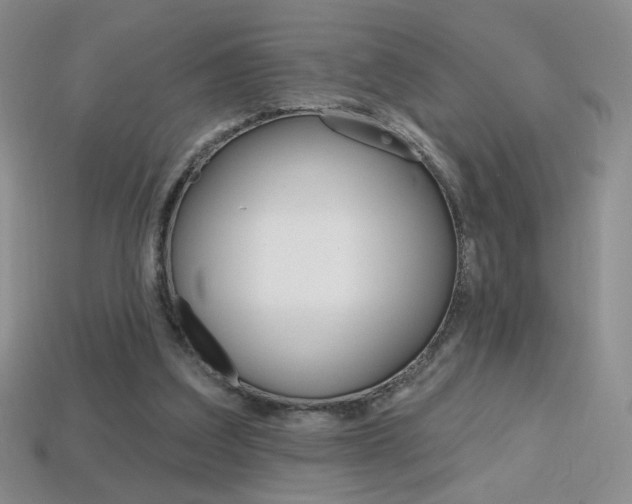 X0000114200203200910091055