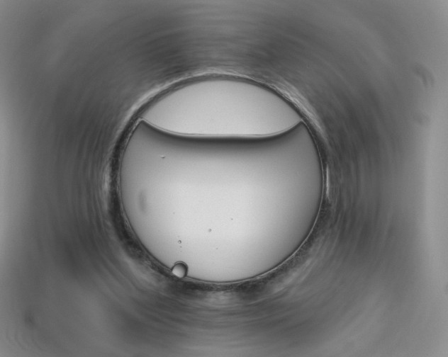 X0000114200204200910091055