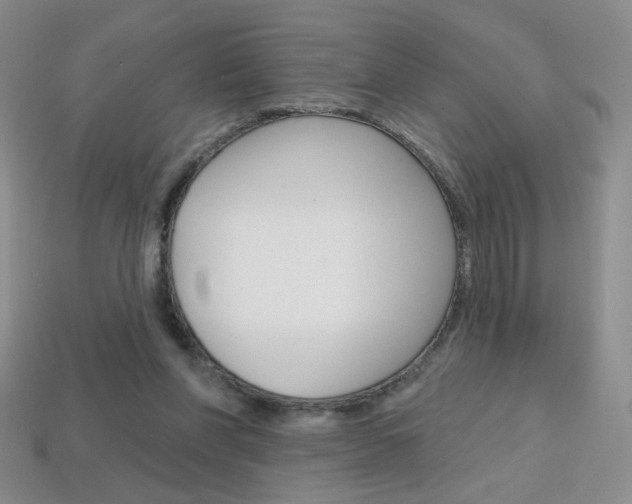 X0000114200206200910091055
