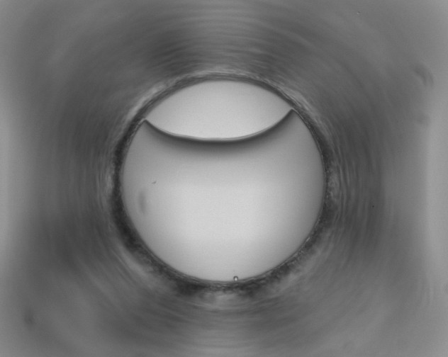 X0000114200208200910091055