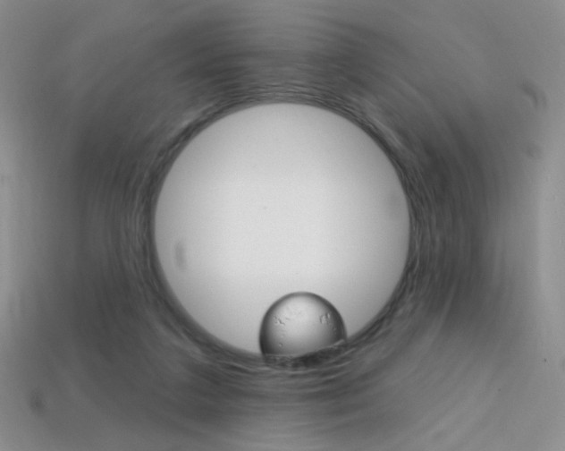 X0000114200211200910091055