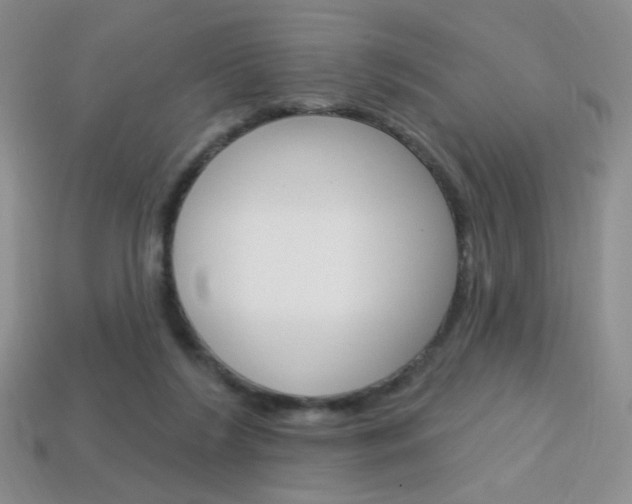 X0000114200212200910091055