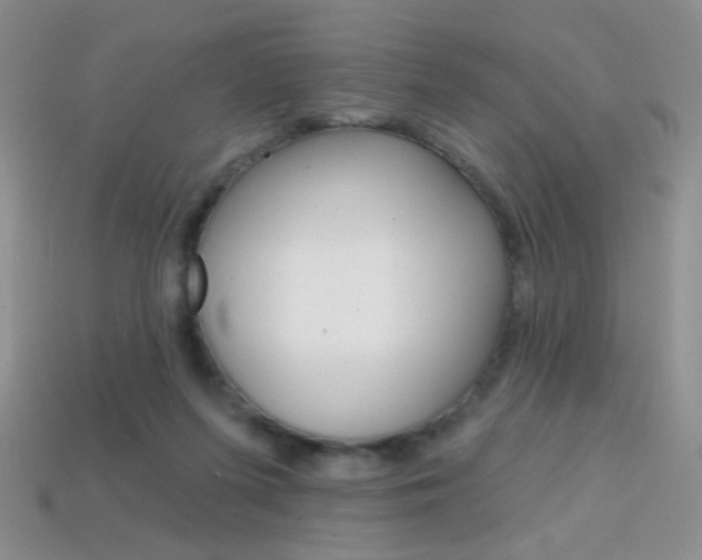 X0000114200215200910091055