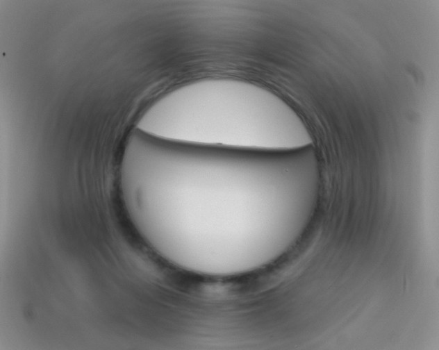 X0000114200216200910091055