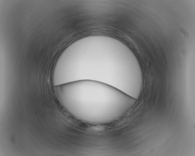 X0000114200217200910091055