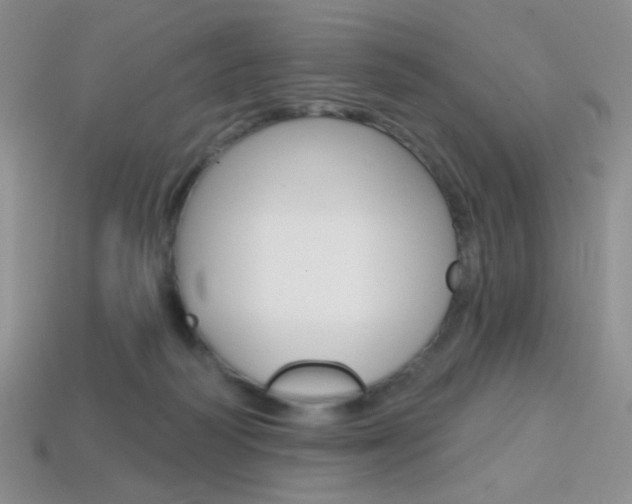 X0000114200218200910091055