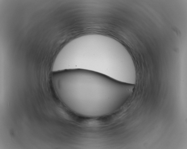 X0000114200219200910091055