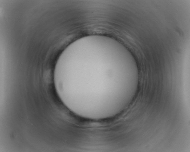 X0000114200224200910091055