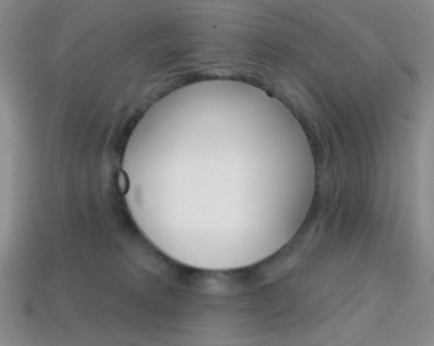 X0000114200229200910091055
