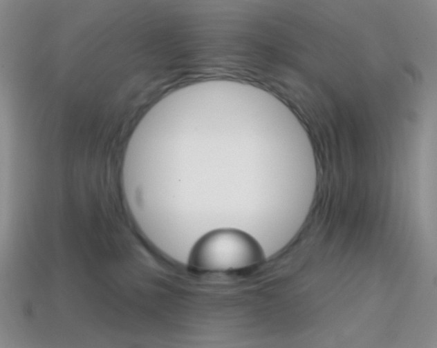 X0000114200231200910091055