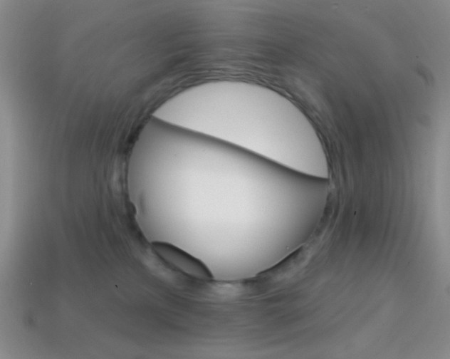 X0000114200233200910091055