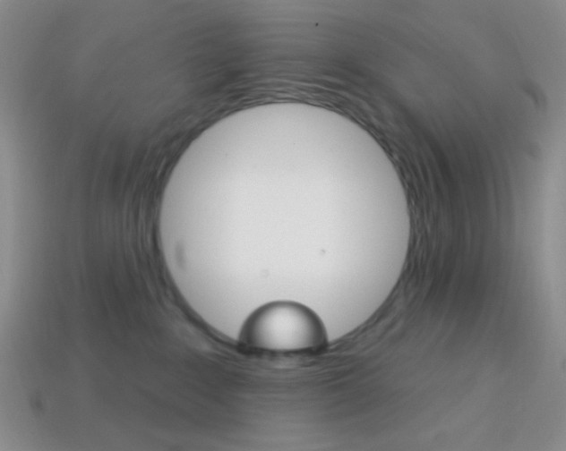 X0000114200235200910091055