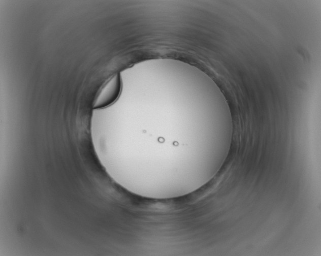X0000114200236200910091055