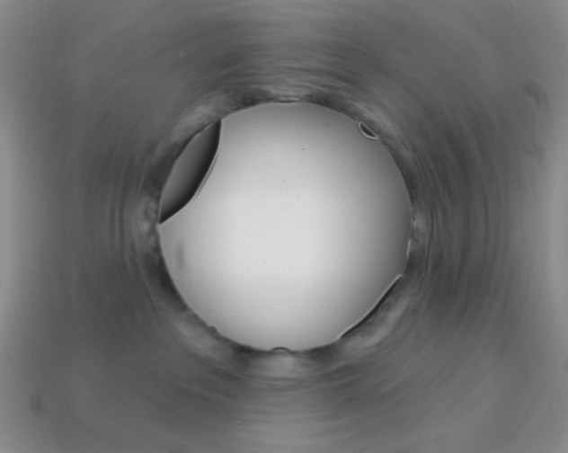 X0000114200237200910091055