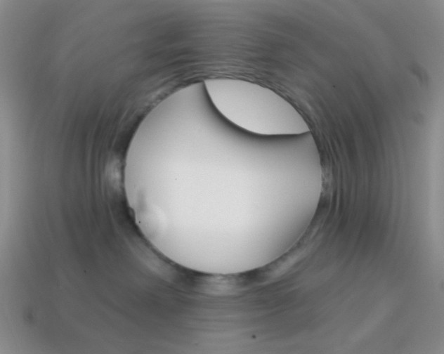 X0000114200238200910091055