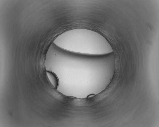 X0000114200240200910091055