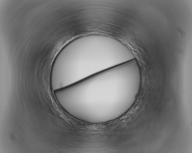 X0000114200241200910091054