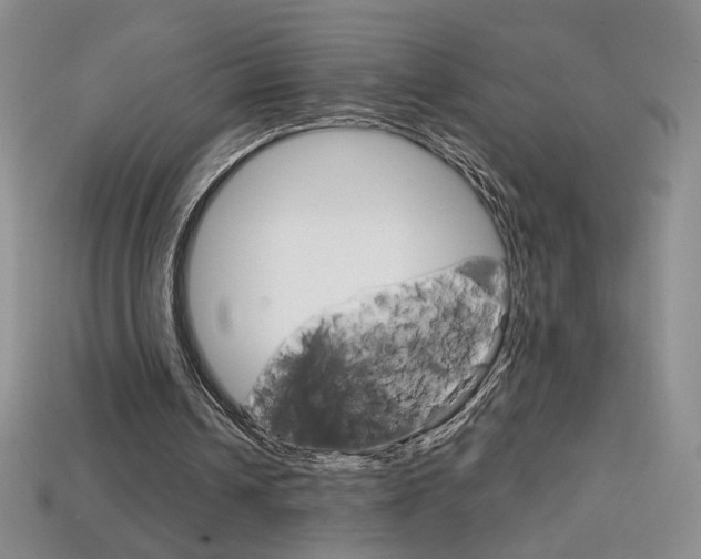 X0000114200242200910091054