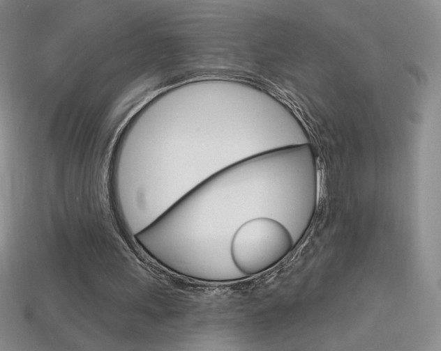 X0000114200243200910091054