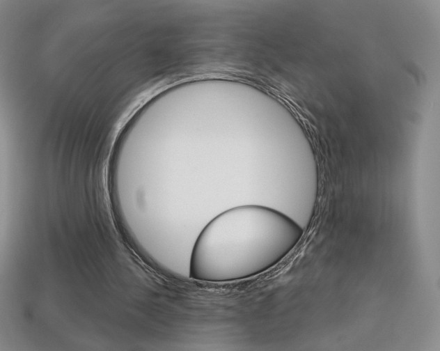 X0000114200244200910091054