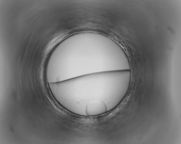 X0000114200245200910091054
