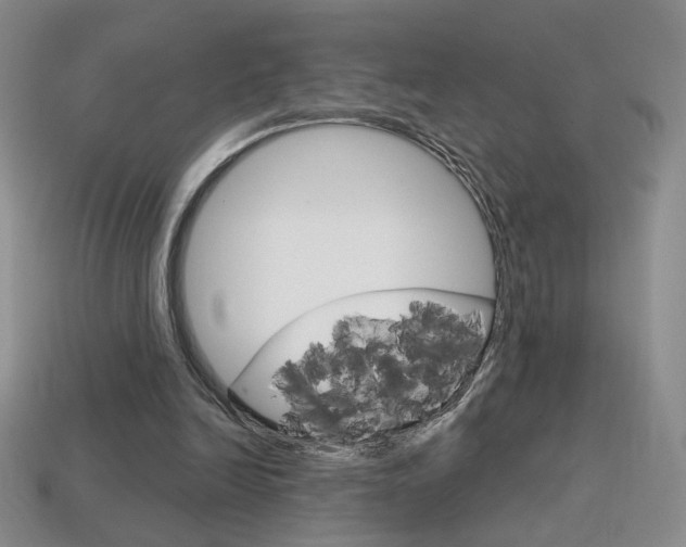 X0000114200246200910091054