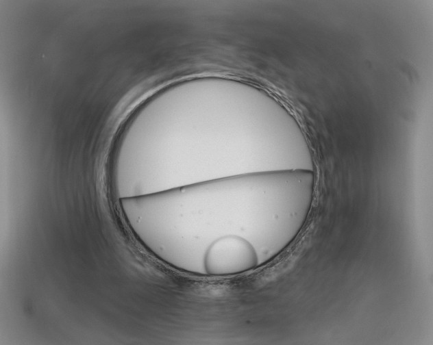 X0000114200247200910091054