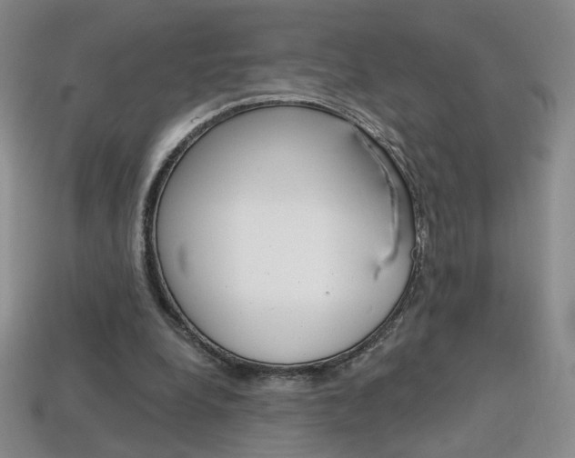 X0000114200248200910091054
