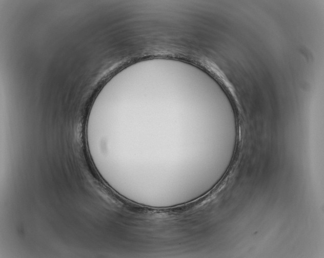 X0000114200249200910091054