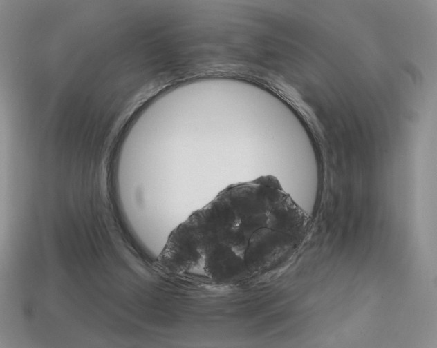 X0000114200250200910091054