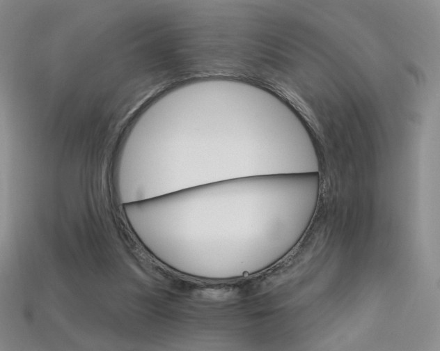 X0000114200251200910091054