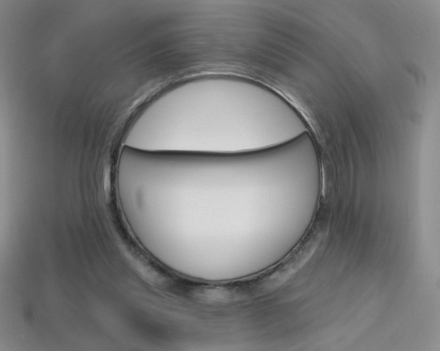 X0000114200253200910091054